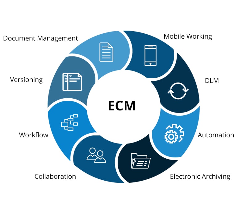 Graphic of the functions of an Enterprise Content Management System
